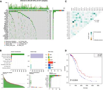 Development and Validation of a Tumor Mutation Burden-Related Immune Prognostic Signature for Ovarian Cancers